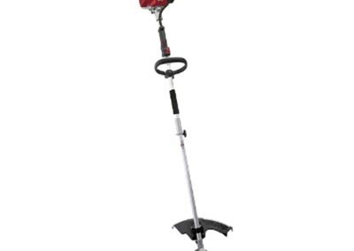 Motoguadañas Briggs & Stratton